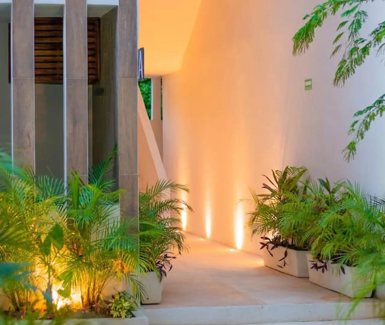 2 Story Penthouse La Veleta 5Br Apartment Tulum 0*,  Mexico